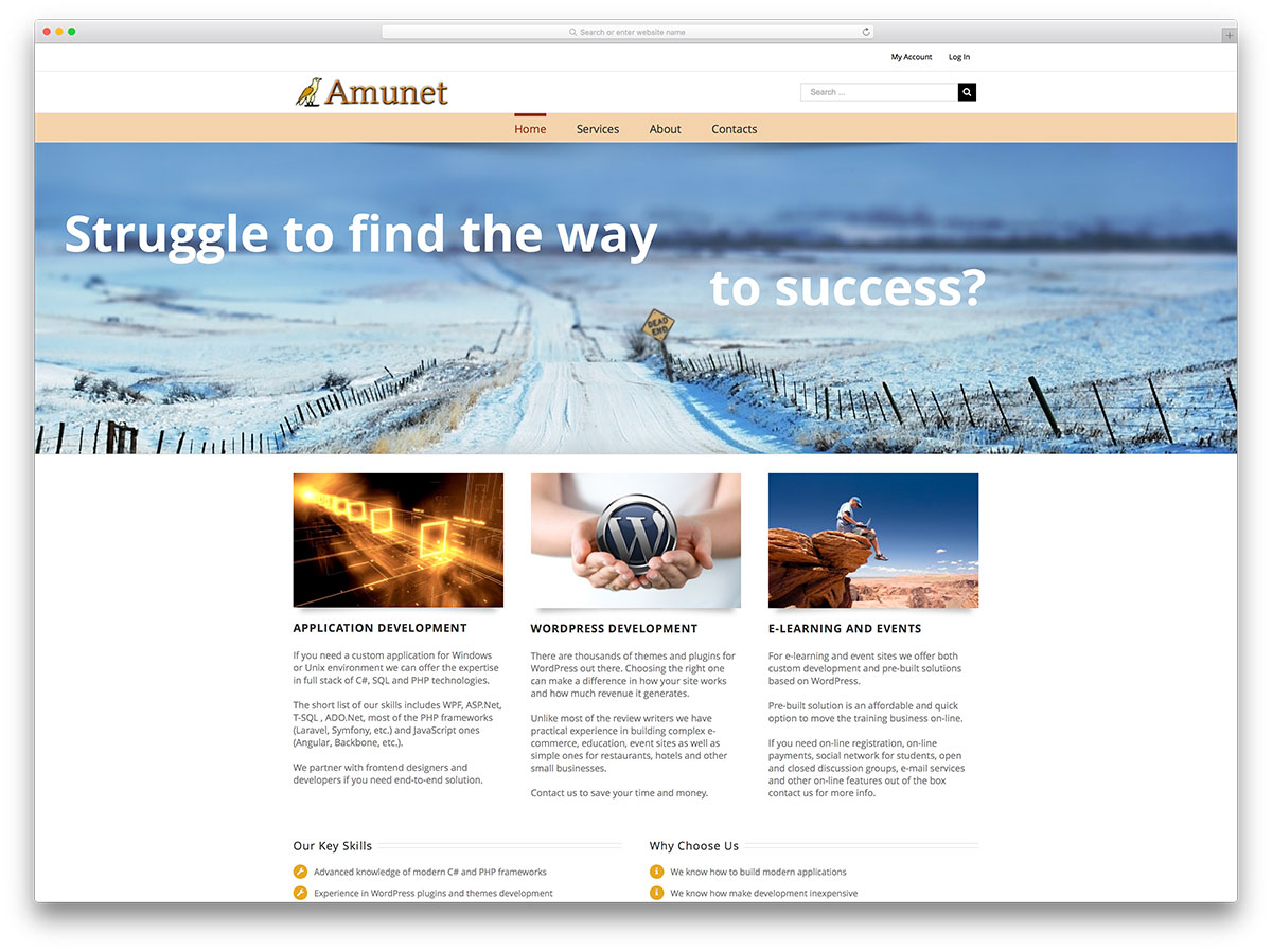 amunet-webdevelopment-agency