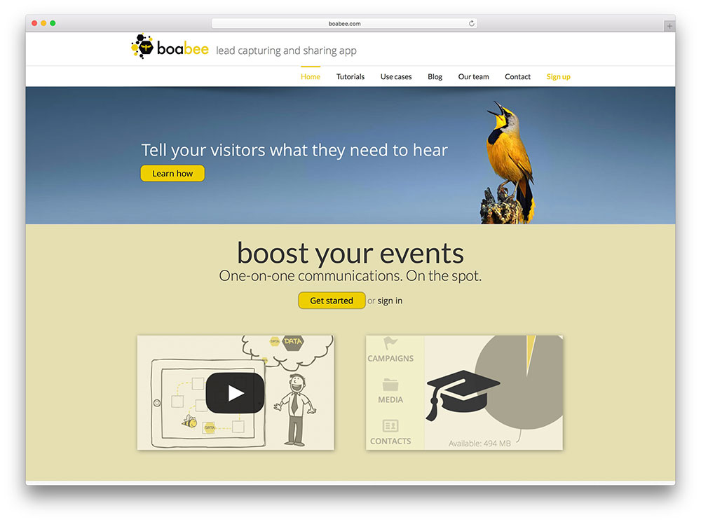 boabee-event-management-website-avada