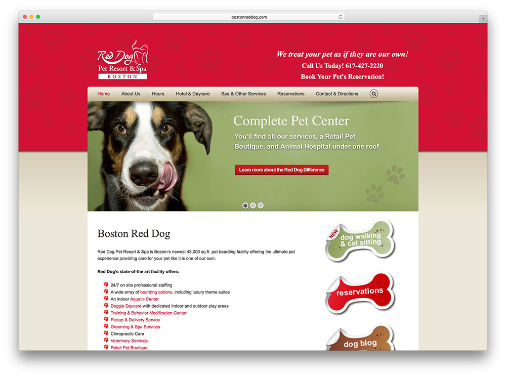 bostonreddog-dog-spa-based-on-avada