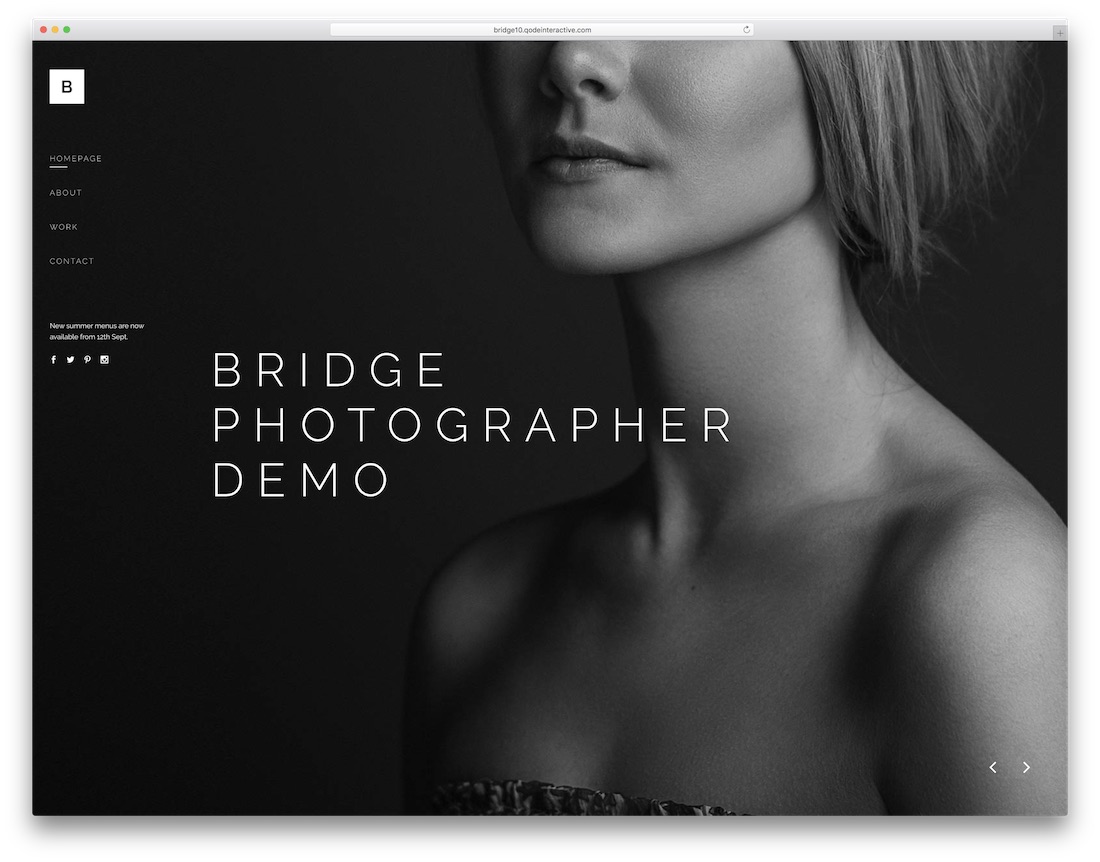 bridge wordpress theme for photographers