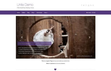 Free Wedding WordPress Themes