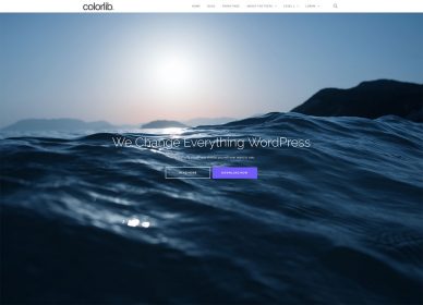 free travel WordPress themes