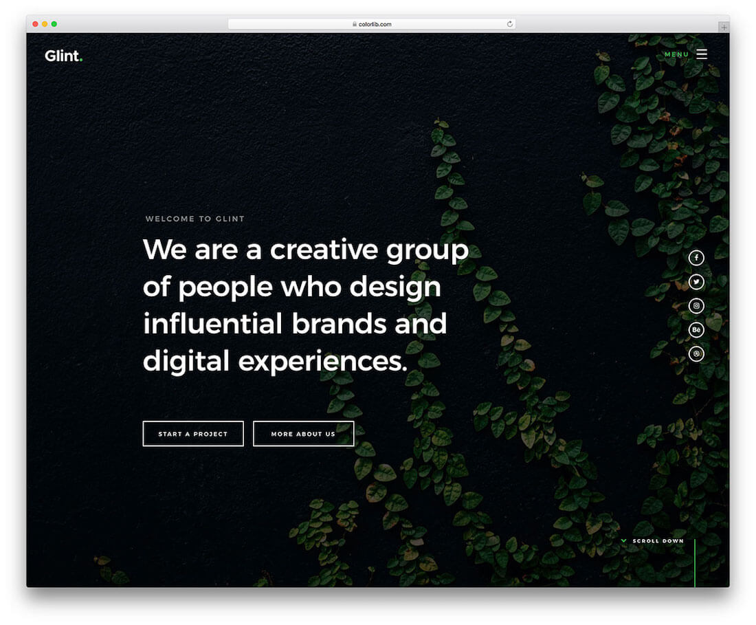 glint free photography website template