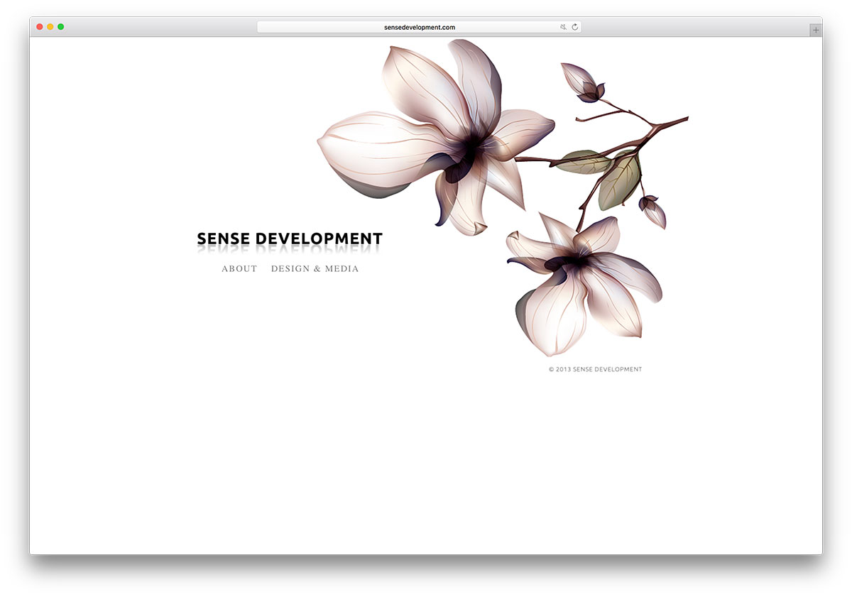 sensedevelopment-web-design-services-website-with-wix