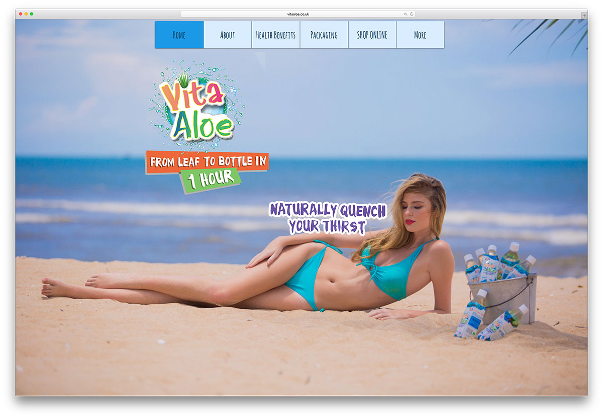 vitaaloe-healthy-food-wix-website