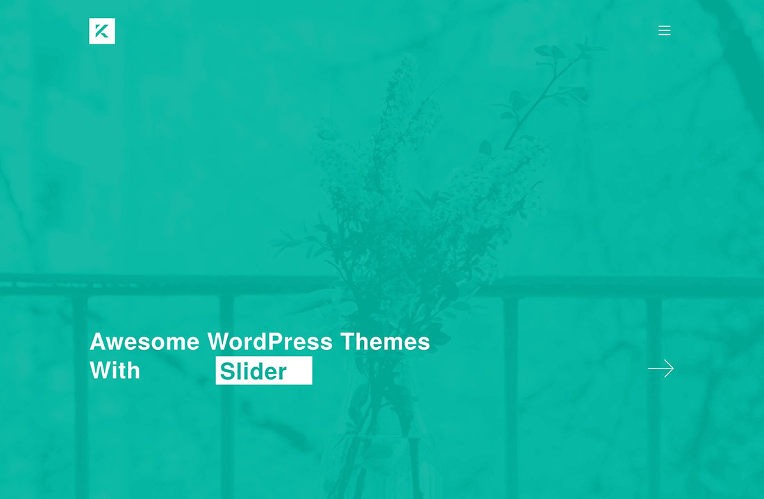 wordpress themes with slider